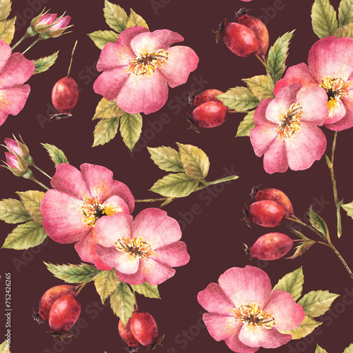 Watercolor pink wild rose hip branch with buds  flower  leaves  berry fruits  dog or brier rose. Floral seamless pattern for print  fabric  wallpaper Hand drawn illustration isolated dark background.