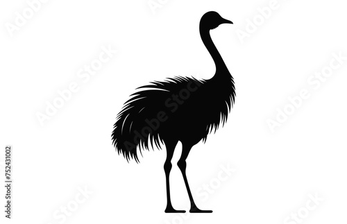 Emu Silhouette isolated on a white background, A Ostrich emu black silhouette, Australian Emu Bird Vector