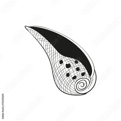 Hand-drawn, engraved line illustrations of realistic mollusk shells in various forms. Perfect for marine-themed designs. Black and white sketches on a navy peony background, including starfish.