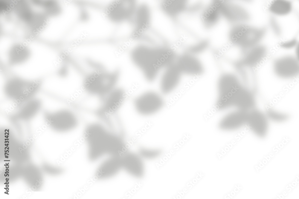 Realistic shadow overlay from plant leaf on transparent background. Special effect of natural leaves shadow on white wall. gray shadow and light effect. 3d rendering
Realistic shadow overlay from plant leaf on transparent background. Special effect of natural leaves shadow on white wall. gray shadow and light effect. 3d rendering