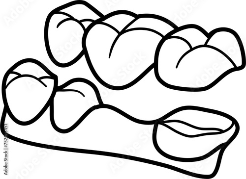 Dental Bridge Outline Vector Illustration