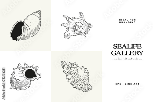 Hand-drawn vector set featuring realistic sketches of various marine seashells and starfish in black and white. Ideal for underwater-themed designs.