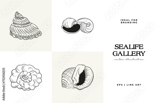 Hand-drawn vector set featuring realistic sketches of various marine seashells and starfish in black and white. Ideal for underwater-themed designs.