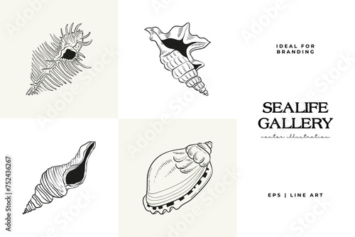 Hand-drawn vector set featuring realistic sketches of various marine seashells and starfish in black and white. Ideal for underwater-themed designs.