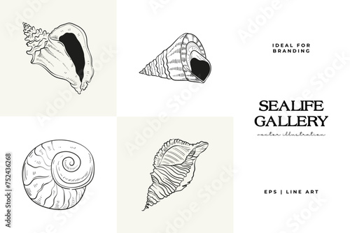 Hand-drawn vector set featuring realistic sketches of various marine seashells and starfish in black and white. Ideal for underwater-themed designs. © KozyPlace