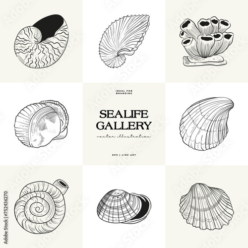 Hand-drawn vector set featuring realistic sketches of various marine seashells and starfish in black and white. Ideal for underwater-themed designs.