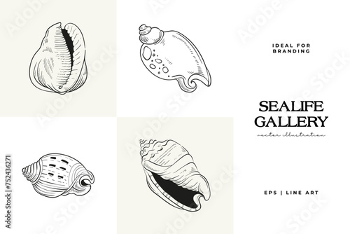 Hand-drawn vector set featuring realistic sketches of various marine seashells and starfish in black and white. Ideal for underwater-themed designs.