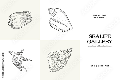 Hand-drawn vector set featuring realistic sketches of various marine seashells and starfish in black and white. Ideal for underwater-themed designs.