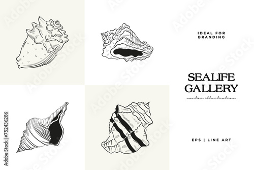 Hand-drawn vector set featuring realistic sketches of various marine seashells and starfish in black and white. Ideal for underwater-themed designs.