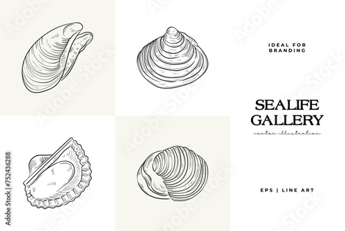 Hand-drawn vector set featuring realistic sketches of various marine seashells and starfish in black and white. Ideal for underwater-themed designs.