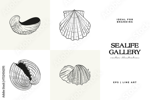 Hand-drawn vector set featuring realistic sketches of various marine seashells and starfish in black and white. Ideal for underwater-themed designs. © KozyPlace