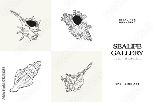 Hand-drawn vector set featuring realistic sketches of various marine seashells and starfish in black and white. Ideal for underwater-themed designs.