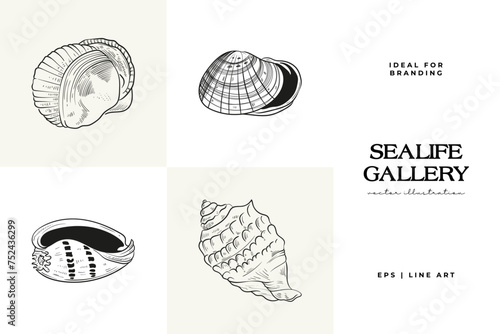 Hand-drawn vector set featuring realistic sketches of various marine seashells and starfish in black and white. Ideal for underwater-themed designs.