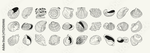 Hand-drawn vector set featuring realistic sketches of various marine seashells and starfish in black and white. Ideal for underwater-themed designs.