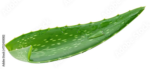Fresh aloe vera leaf with water droplets on transparent background - stock png.