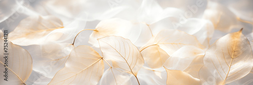 Ethereal white leaves with delicate veins background banner. Panoramic web header. Wide screen wallpaper. © MariiaDemchenko