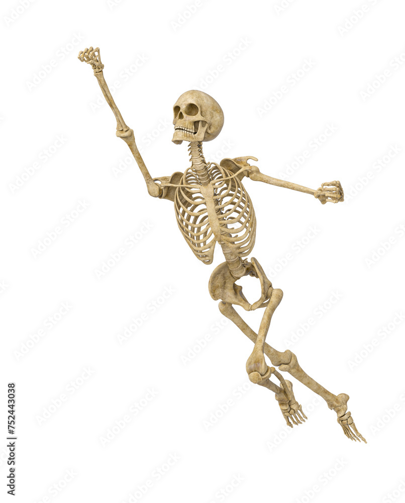 structural skeleton is flying up structural skeleton is flying up
