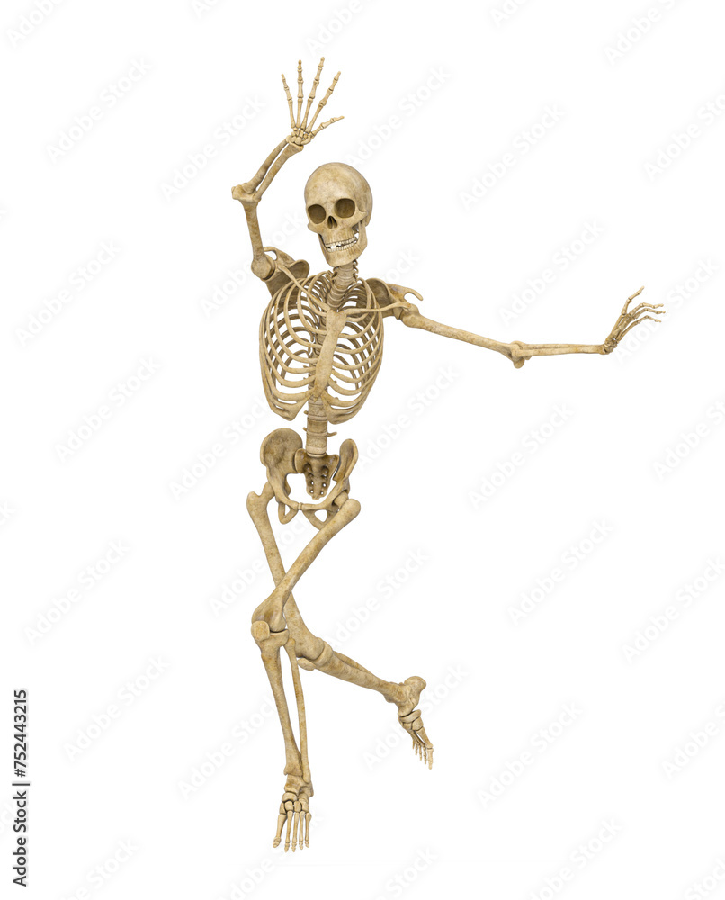 structural skeleton is running and happy structural skeleton is running and happy