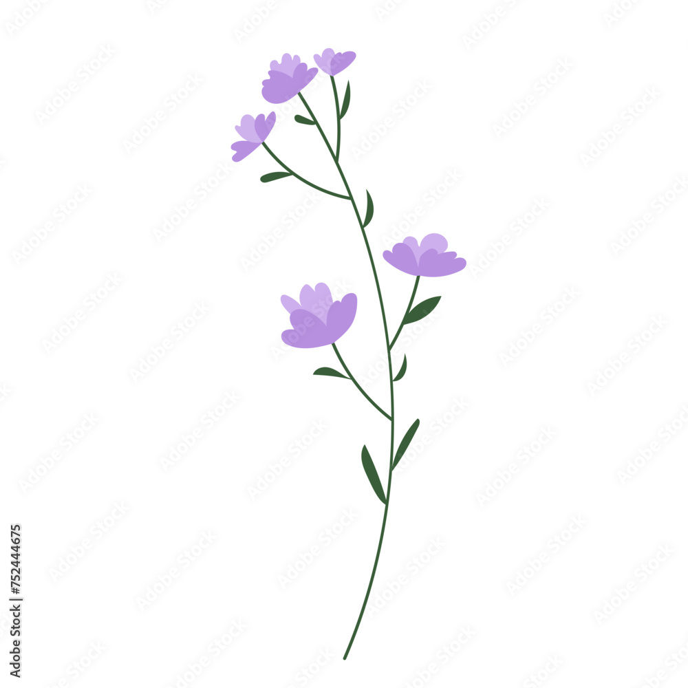 Meadow lilac spring flower with leaves. Purple petals. Hand drawn vector, wild, botany. Meadow lilac spring flower with leaves. Purple petals. Hand drawn vector, wild, botany.