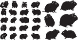 Set of Silhouette Rabbit Collection Vector illustration