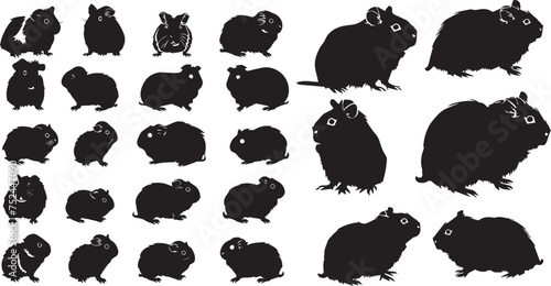 Set of Silhouette Rabbit Collection Vector illustration photo