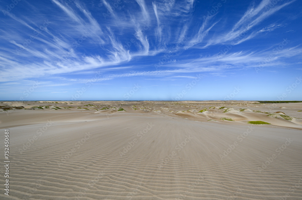 Dunes Isla Magdalena Dunes Isla Magdalena