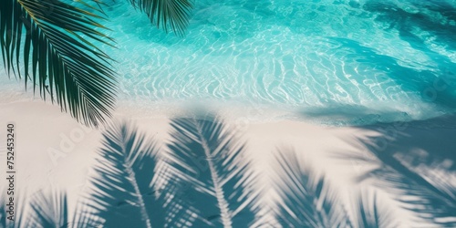 Top view of tropical leaf shadow on water surface. Shadows of palm leaves on the seashore.