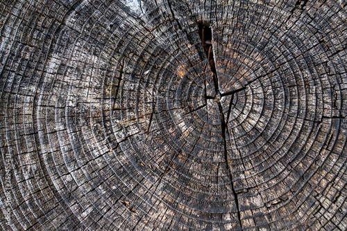 Altholzbalken mit verwitterter Holzstruktur.