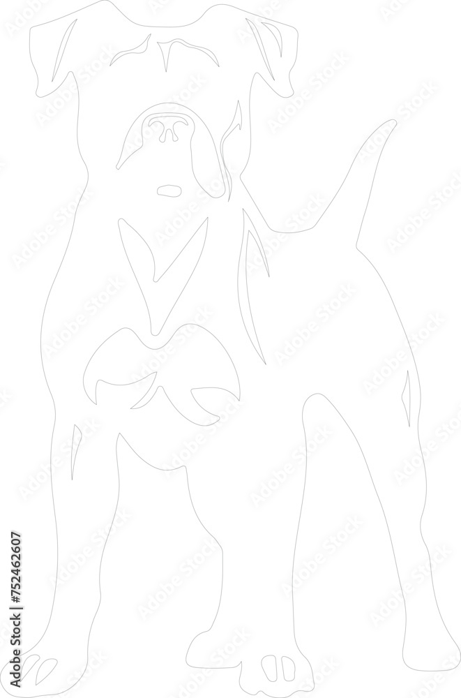 Boxer outline Boxer outline