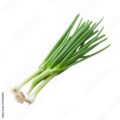 Young green onion isolated on white or transparent background