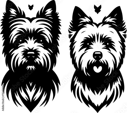 Cairn Terrier icon