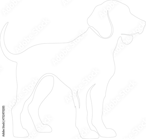 Redbone Coonhound outline photo