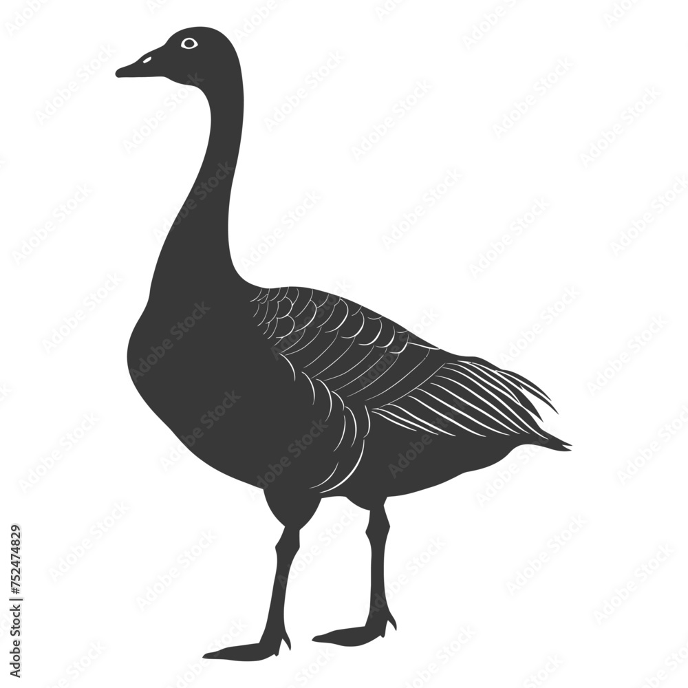 Silhouette goose animal black color only full body Silhouette goose animal black color only full body