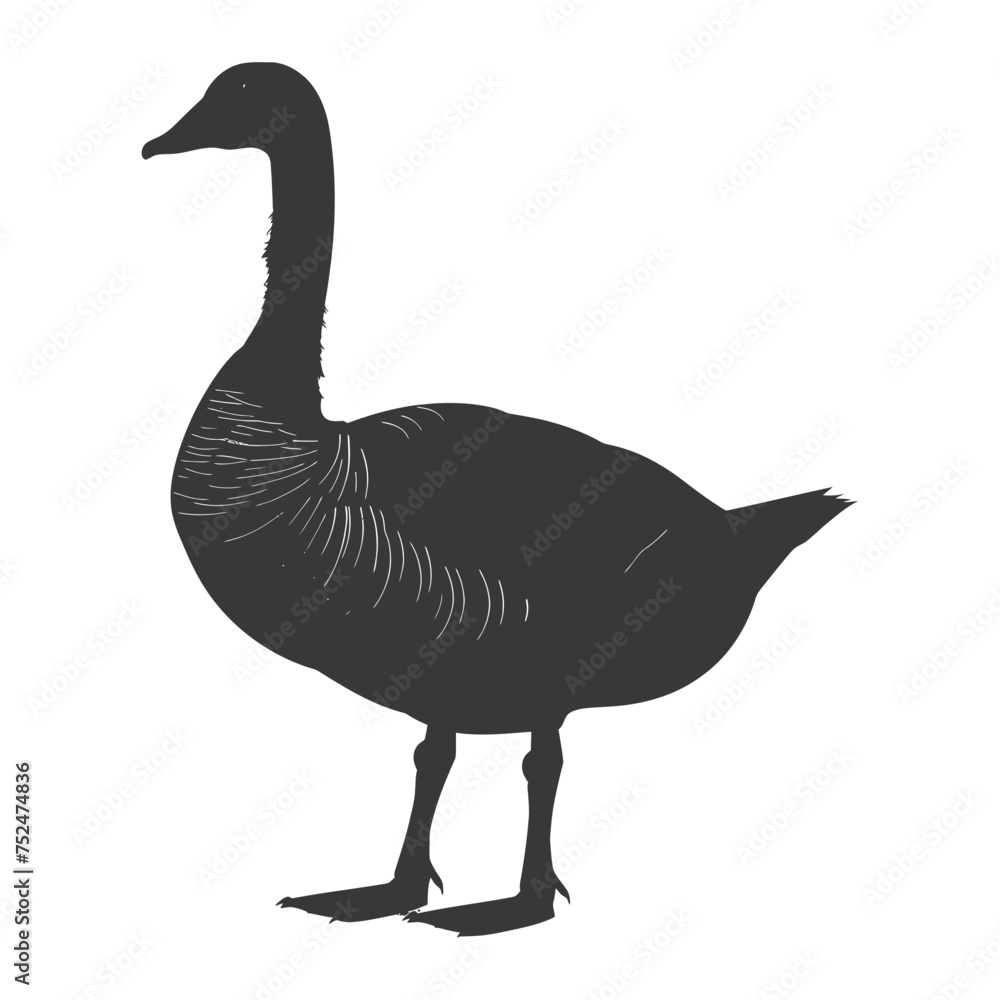 Silhouette goose animal black color only full body Silhouette goose animal black color only full body