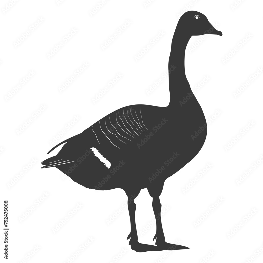 Silhouette goose animal black color only full body Silhouette goose animal black color only full body