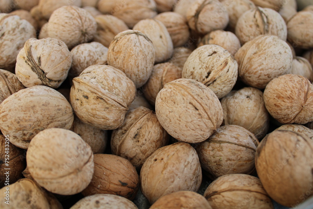 shelled walnuts. Pile of unshelled walnuts in daylight. walnut background. shelled walnuts. Pile of unshelled walnuts in daylight. walnut background.