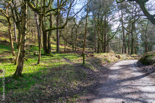 path in the park