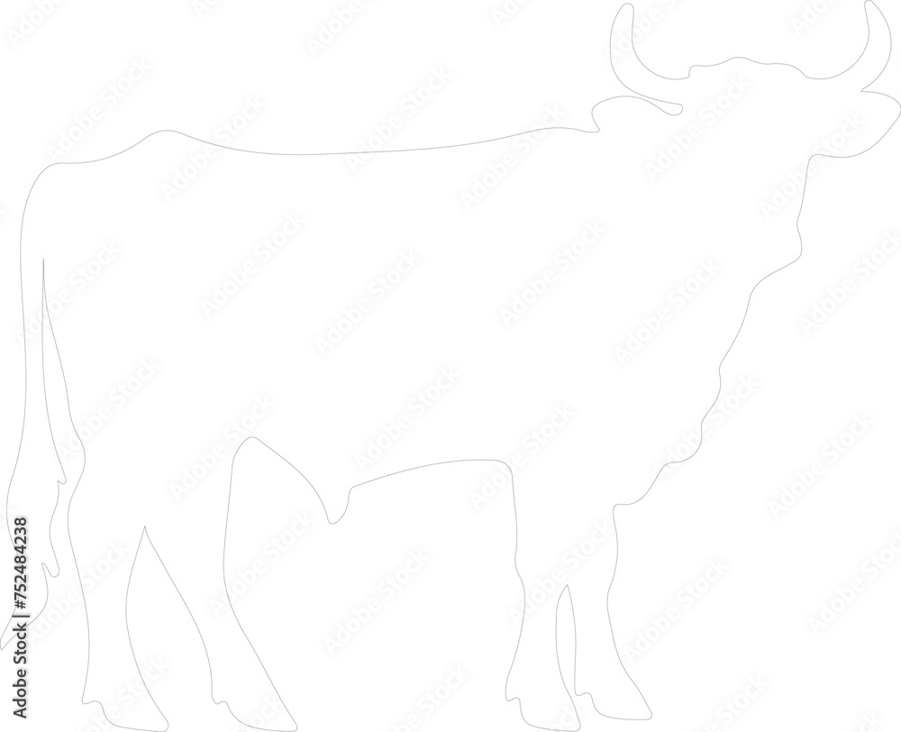 cattle outline