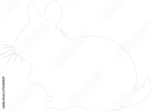 chinchilla outline