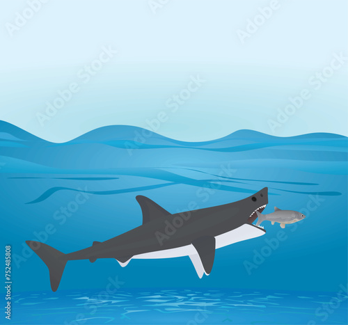 Big shark eat small fish. vector