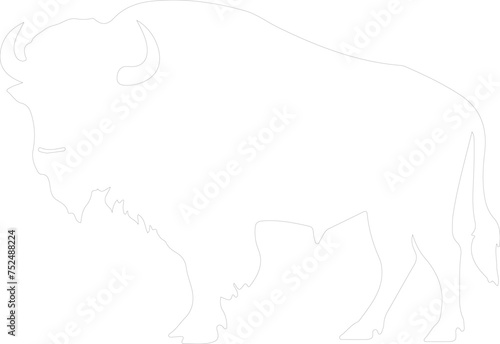 buffalo outline