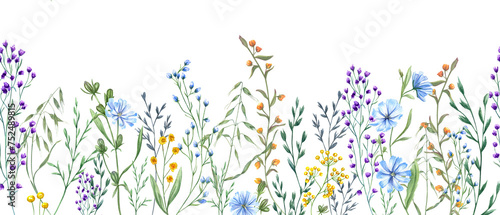 Meadow herbs  plants  flowers. Seamless border of wildflowers. Yellow  blue flower  green grass. Spring  summer greenery. Watercolor illustration for wedding textile  package and greetings