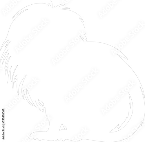 golden lion tamarin outline © Mappingz