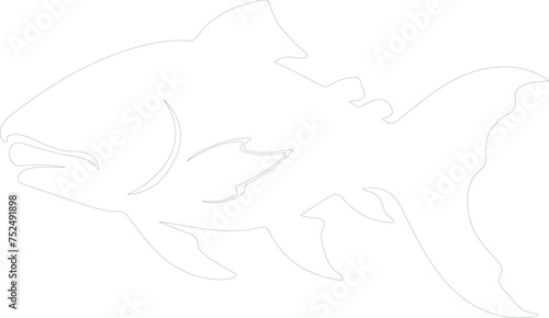 Dunkleosteus outline