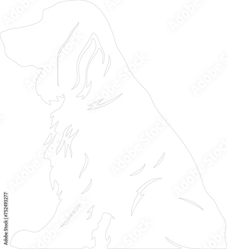 Irish setter outline