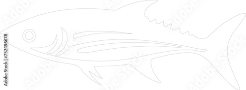 mackerel outline