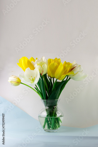 Wallpaper Mural Bouquet of yellow and white tulips on white. Space for text. Spring postcard Torontodigital.ca