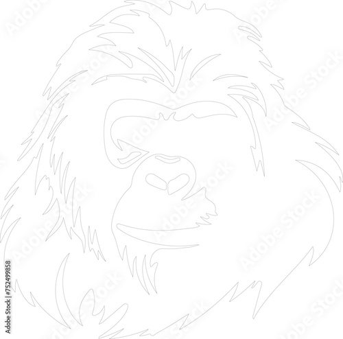 orangutan outline