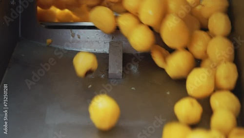 Releasing machine. Slow motion of peeled washed yellow potatoes being released from a professional machine used in food industry. High quality 4k footage photo