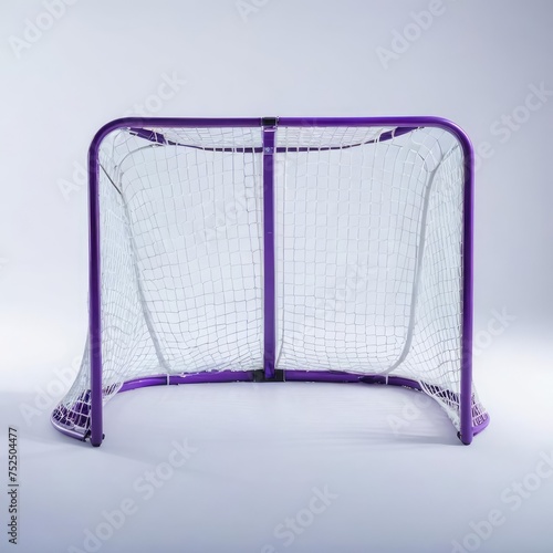football hockey goal net 